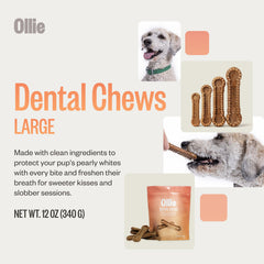 Ollie Dental Chews with parsley and cinnamon help freshen breath.