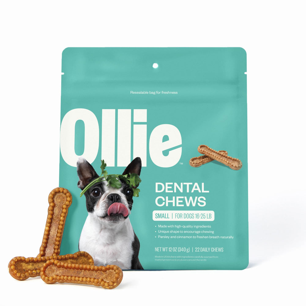 Ollie dental chews for small dogs packaging showcases breath-freshening appeal.