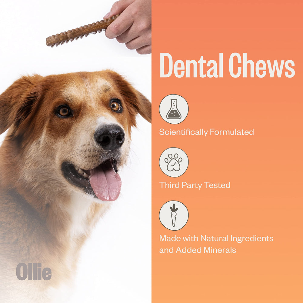 Ollie dental chews small-dog texture emphasizes chewing action for dental care.