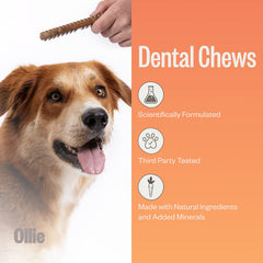 Ollie dental chews small-dog texture emphasizes chewing action for dental care.