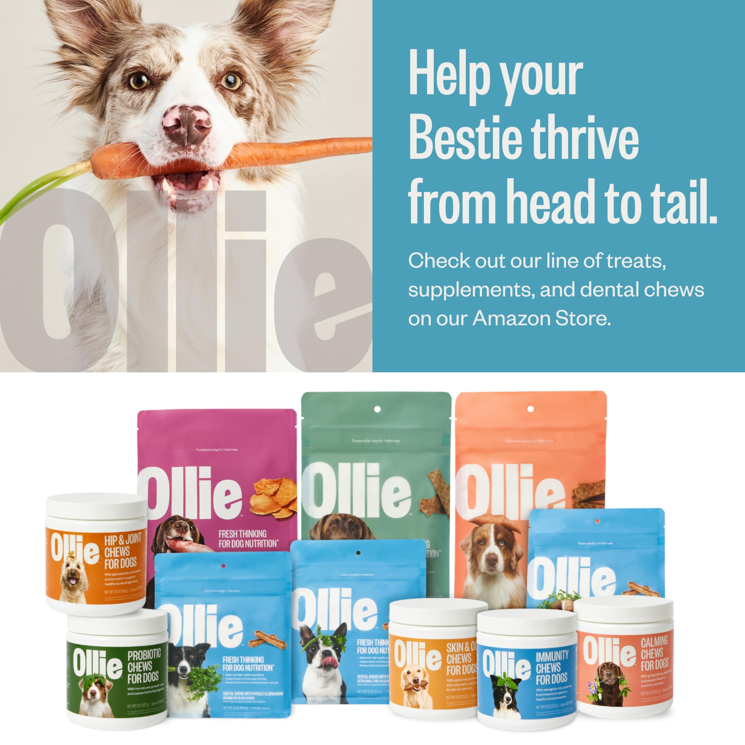 Ollie no artificial flavors image communicates clean, simple ingredients.