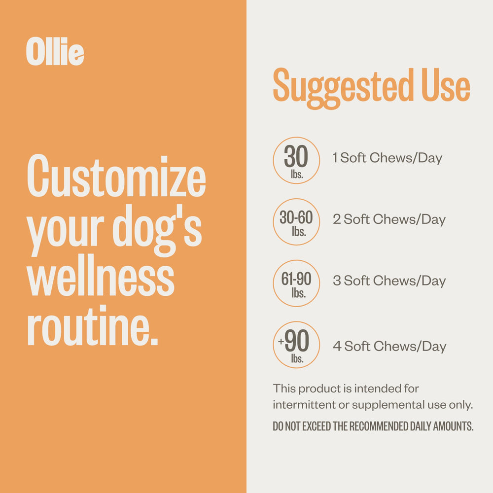 Ollie packaging and ingredients highlight natural formula for canine care.