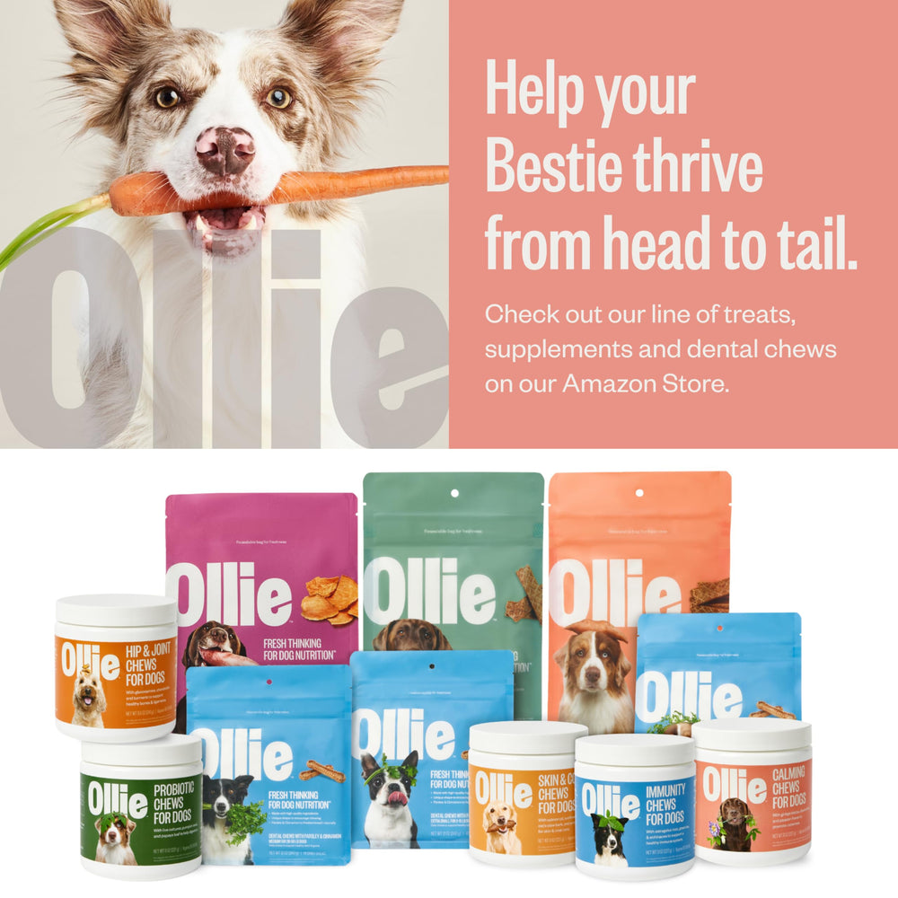 Ollie training rewards ready for quick positive reinforcement