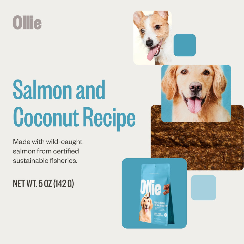 Ollie wild salmon sustainability image emphasizes sustainable sourcing for responsible snacking.