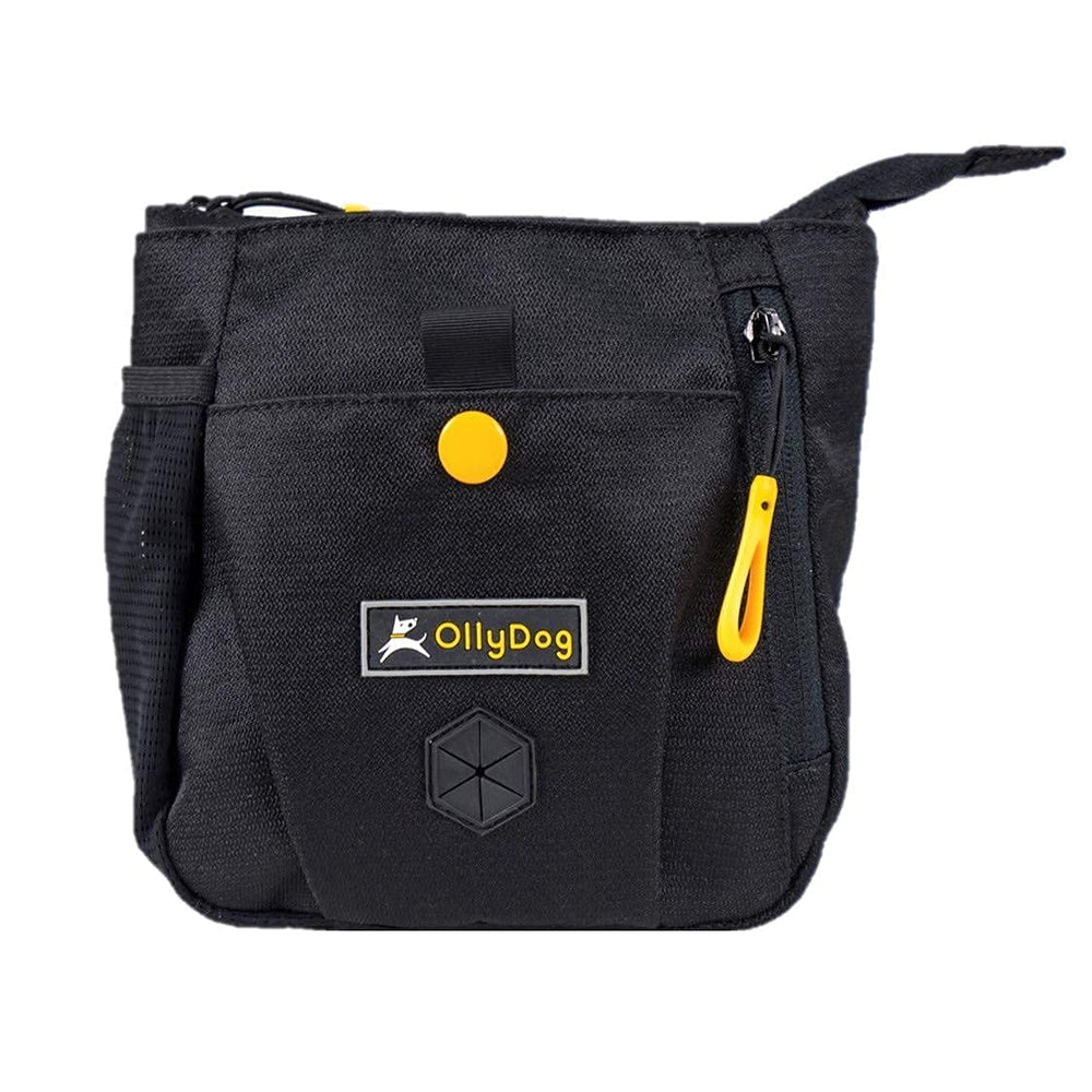 OllyDog Backcountry Day Bag color-variety options suit gear and leash styling