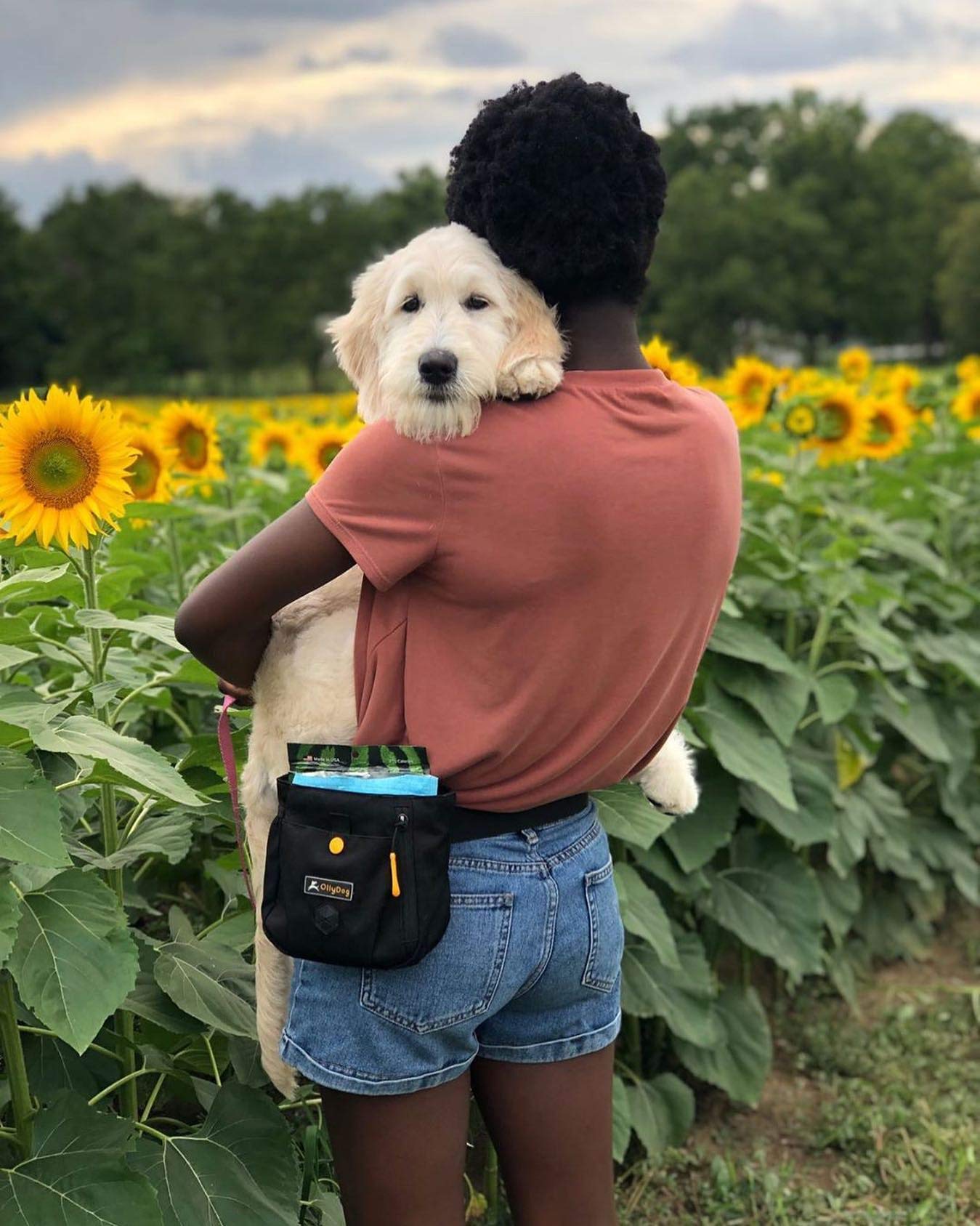 OllyDog Backcountry Day Bag recycled fabric demonstrates eco-friendly durability