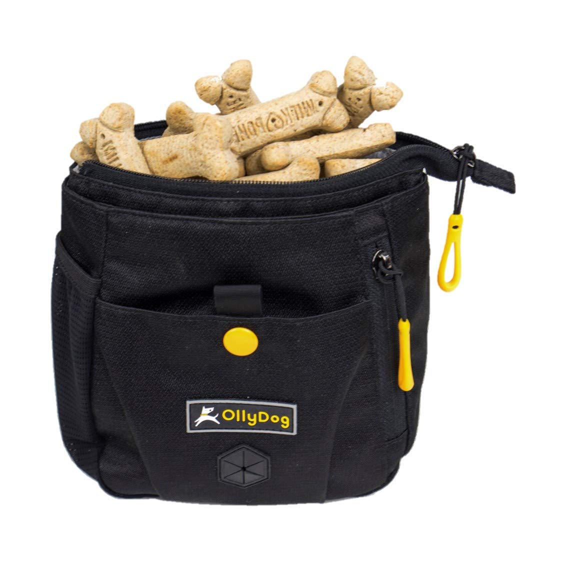 OllyDog Backcountry Day Bag compact size fits essential items without bulk