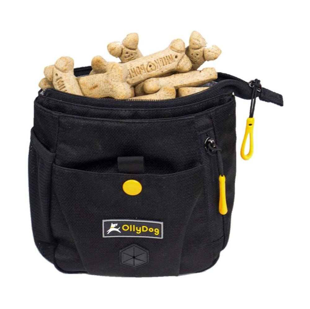 OllyDog Backcountry Day Bag compact size fits essential items without bulk