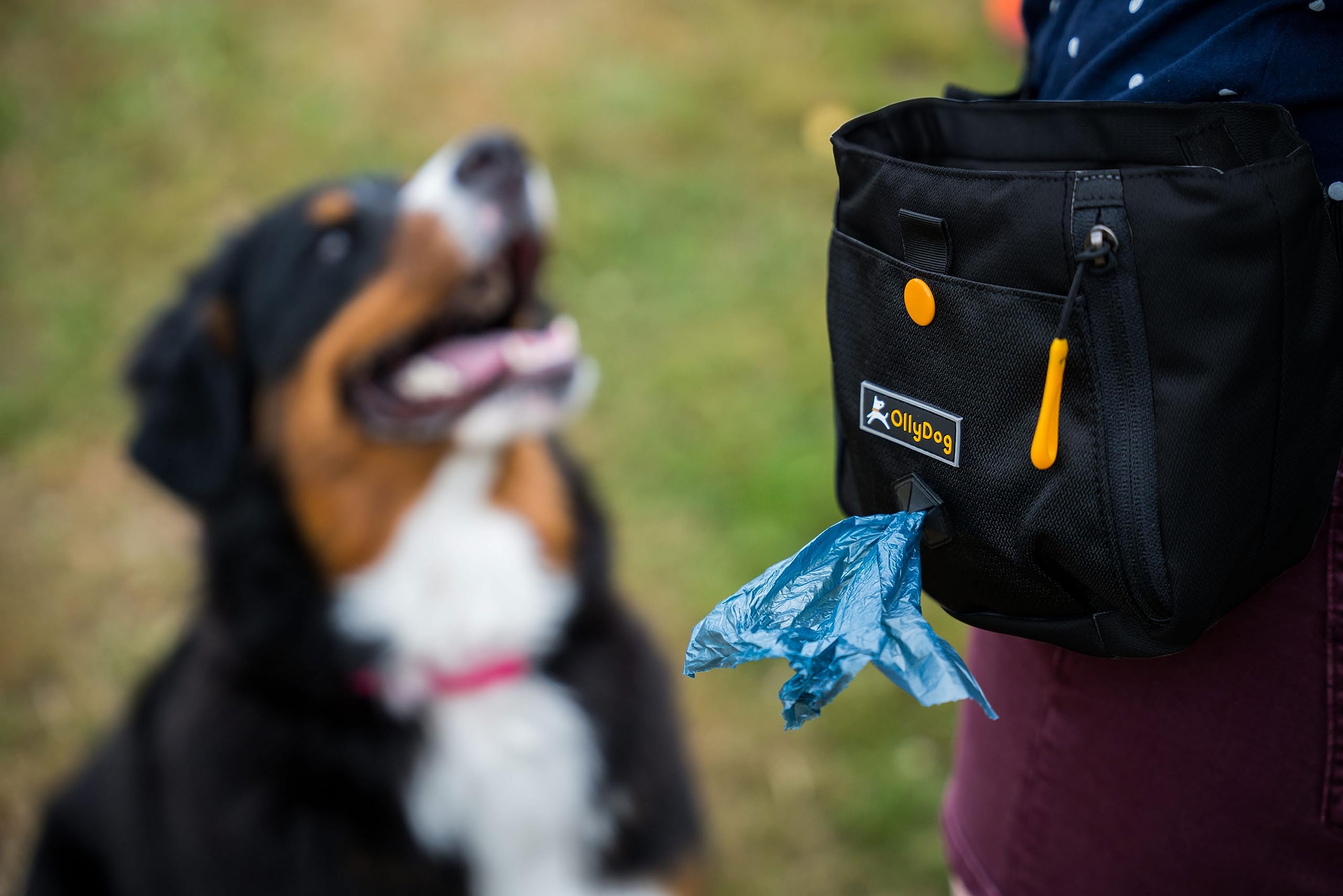 OllyDog Backcountry Day Bag water-resistant fabric protects gear outdoors