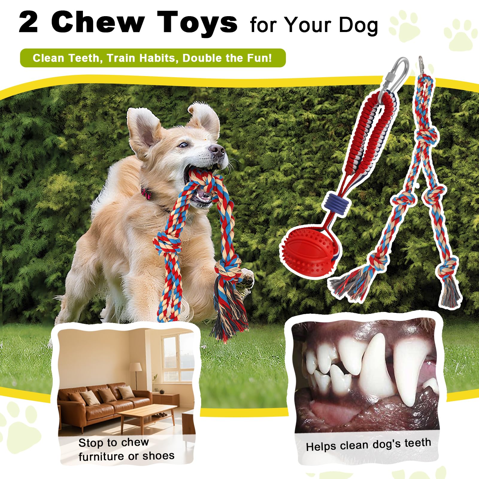 The Olpchee chew ball adds chewing and teeth-cleaning value during play