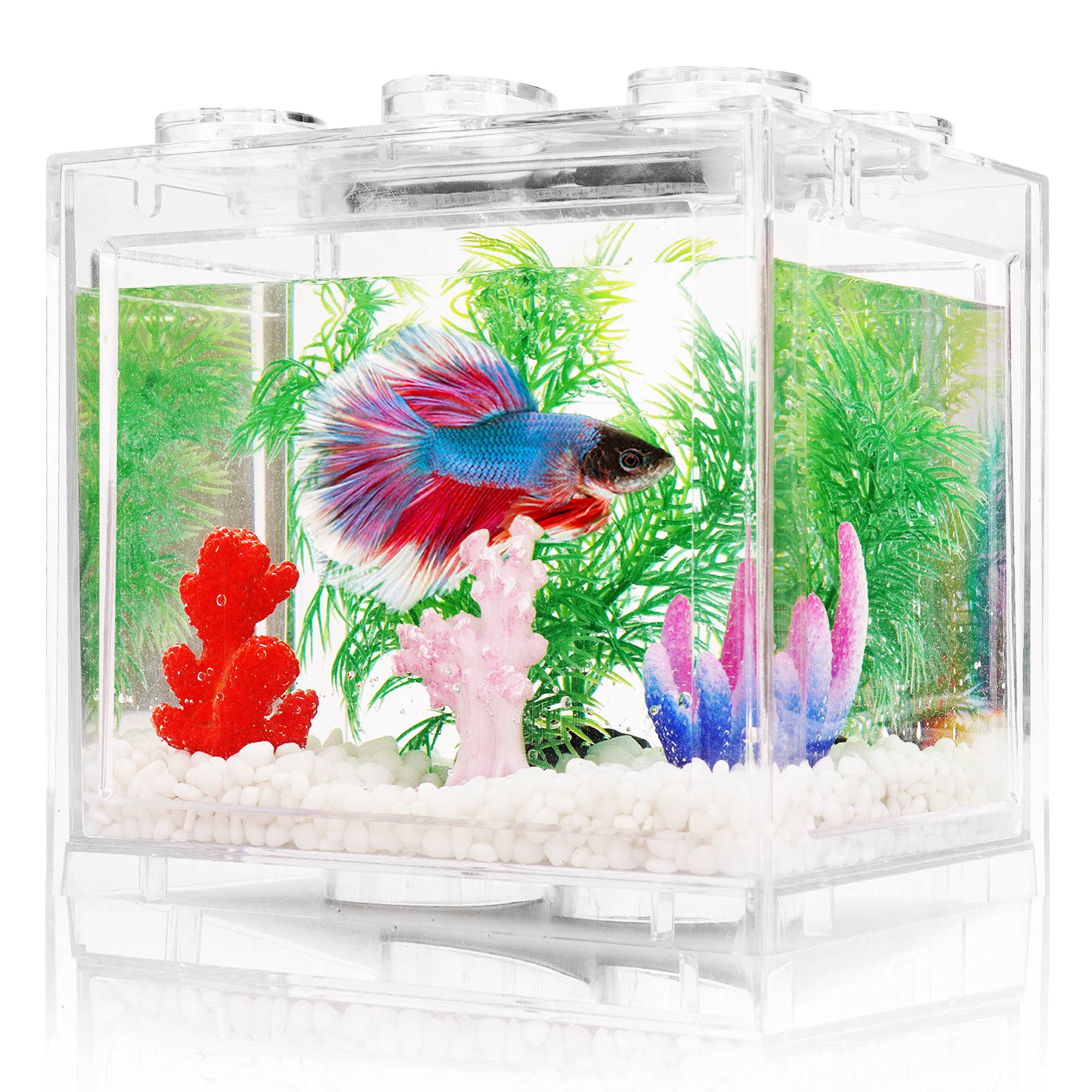 Oltraman betta tank with LED light top view for desk decor and observation