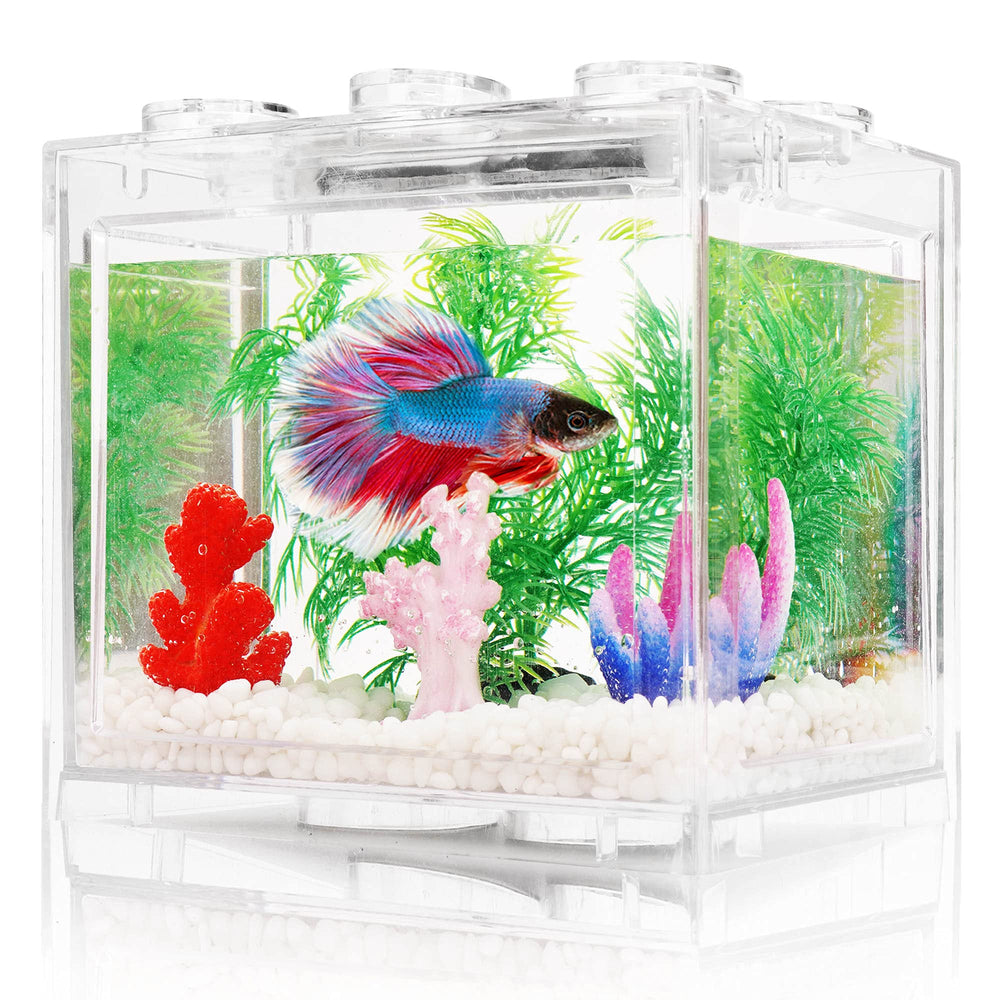 Oltraman betta tank with LED light top view for desk decor and observation