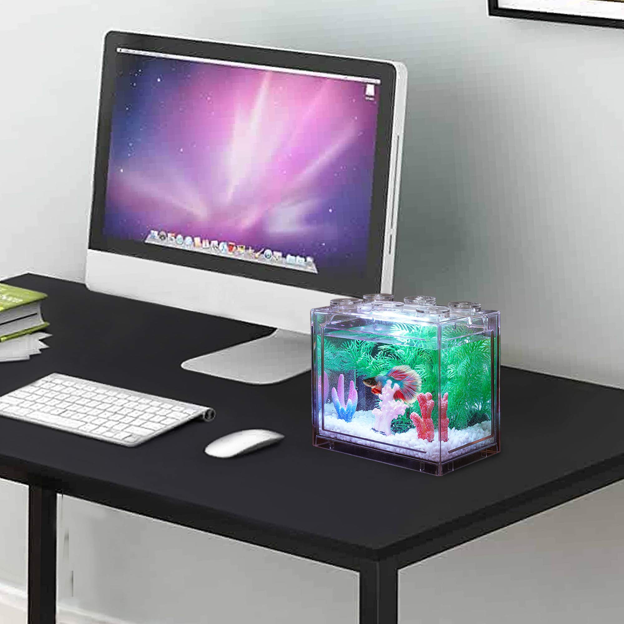 Oltraman gift-ready tiny aquarium for kids and classrooms