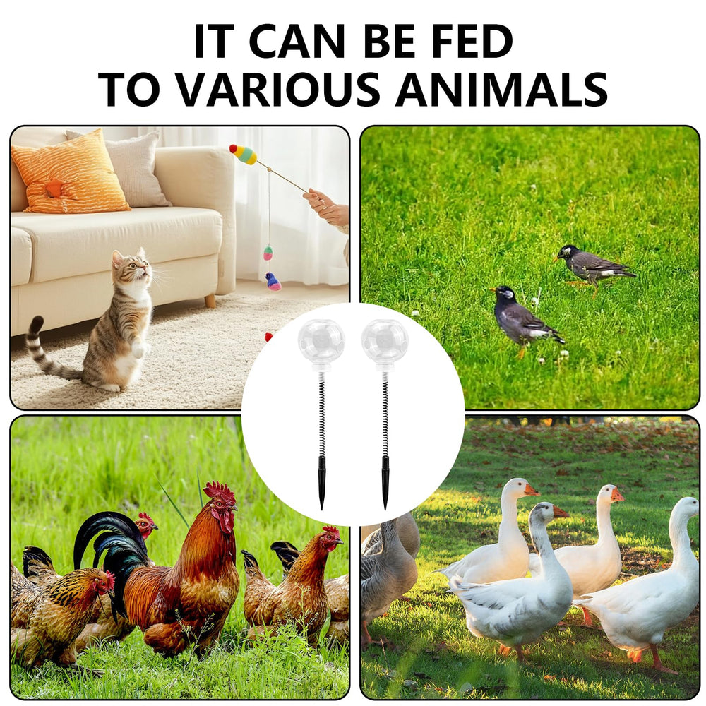 OMASUNB enrichment-design provides interactive activity for poultry