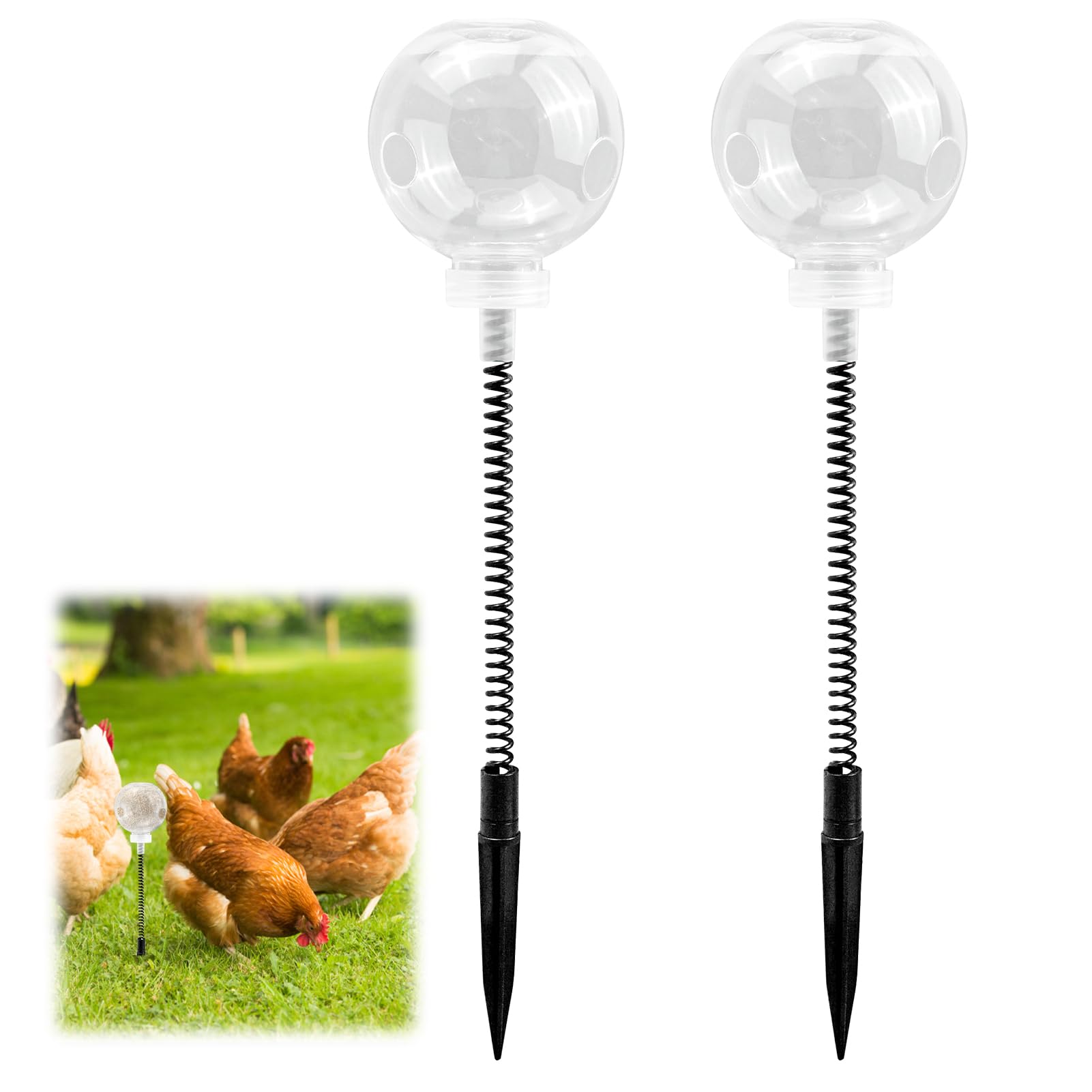 OMASUNB slow-feeder-ball in coop encourages foraging and extended feeding time