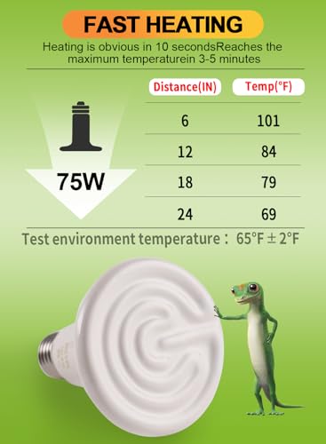 OMAYKEY 24-hour heat source supports reptiles and amphibians