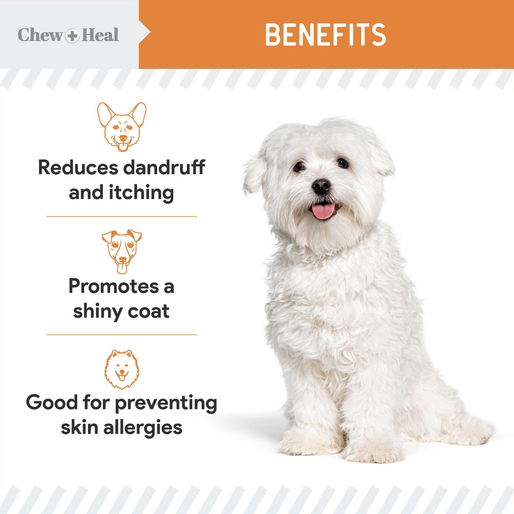 Chew + Heal Labs omega-3 dog skin and coat benefits for daily care.