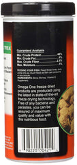 Omega One brine shrimp feeding scene supports colorful, active fish.