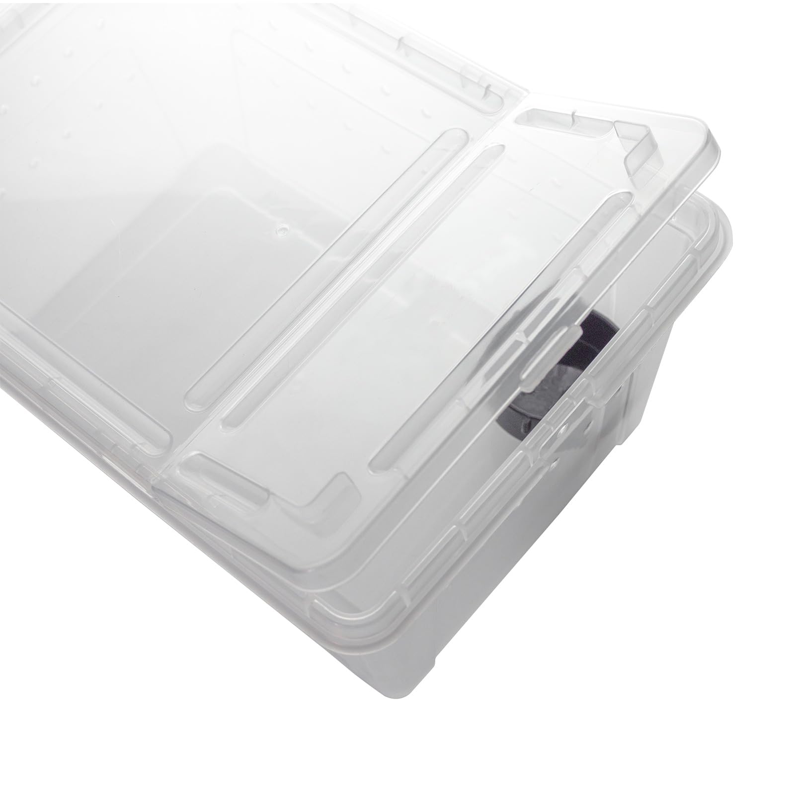 OMEM portable reptile terrarium Extra H stands tall for vertical exploration and climbing.