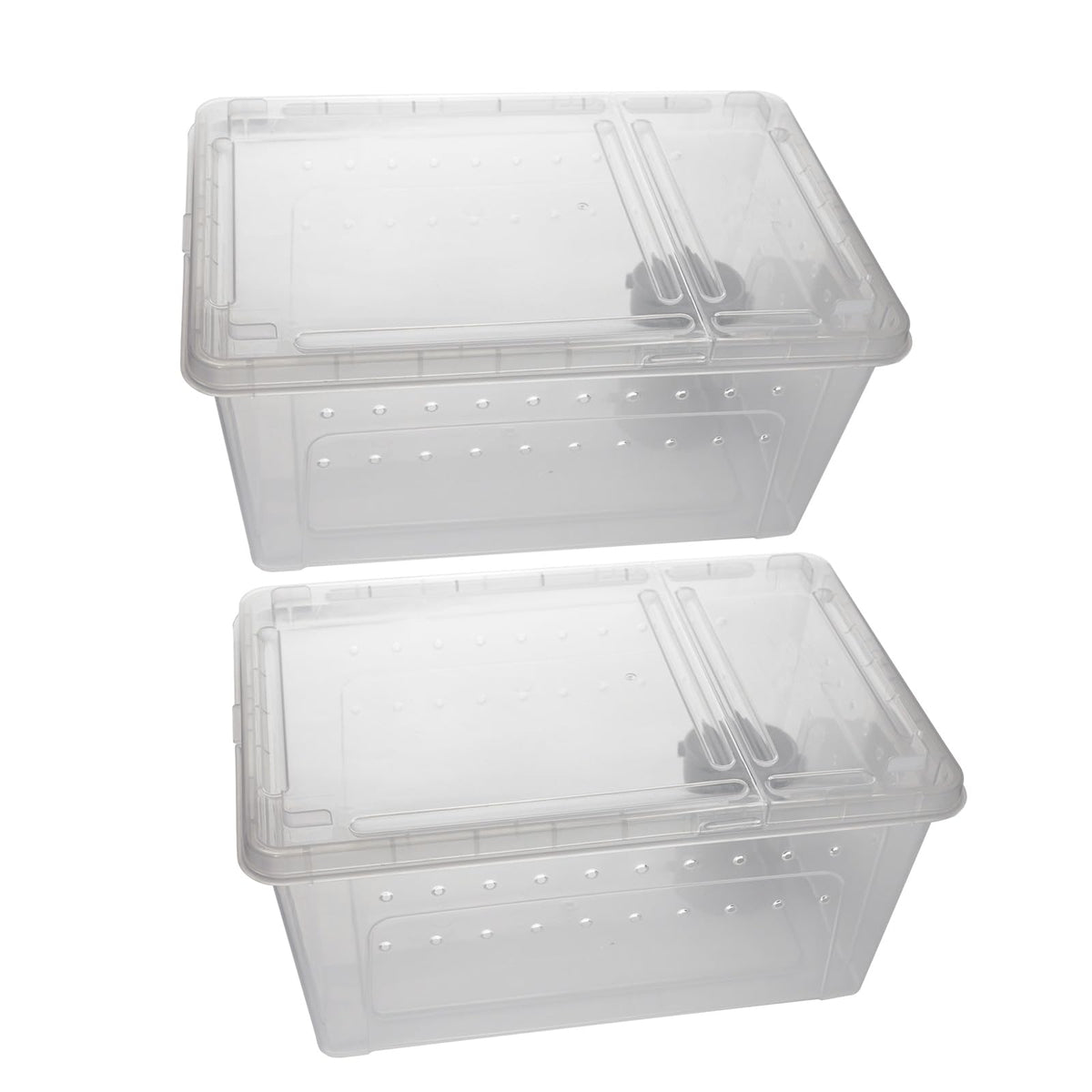 OMEM portable reptile terrarium XS offers compact viewing for tiny pets and easy portability.