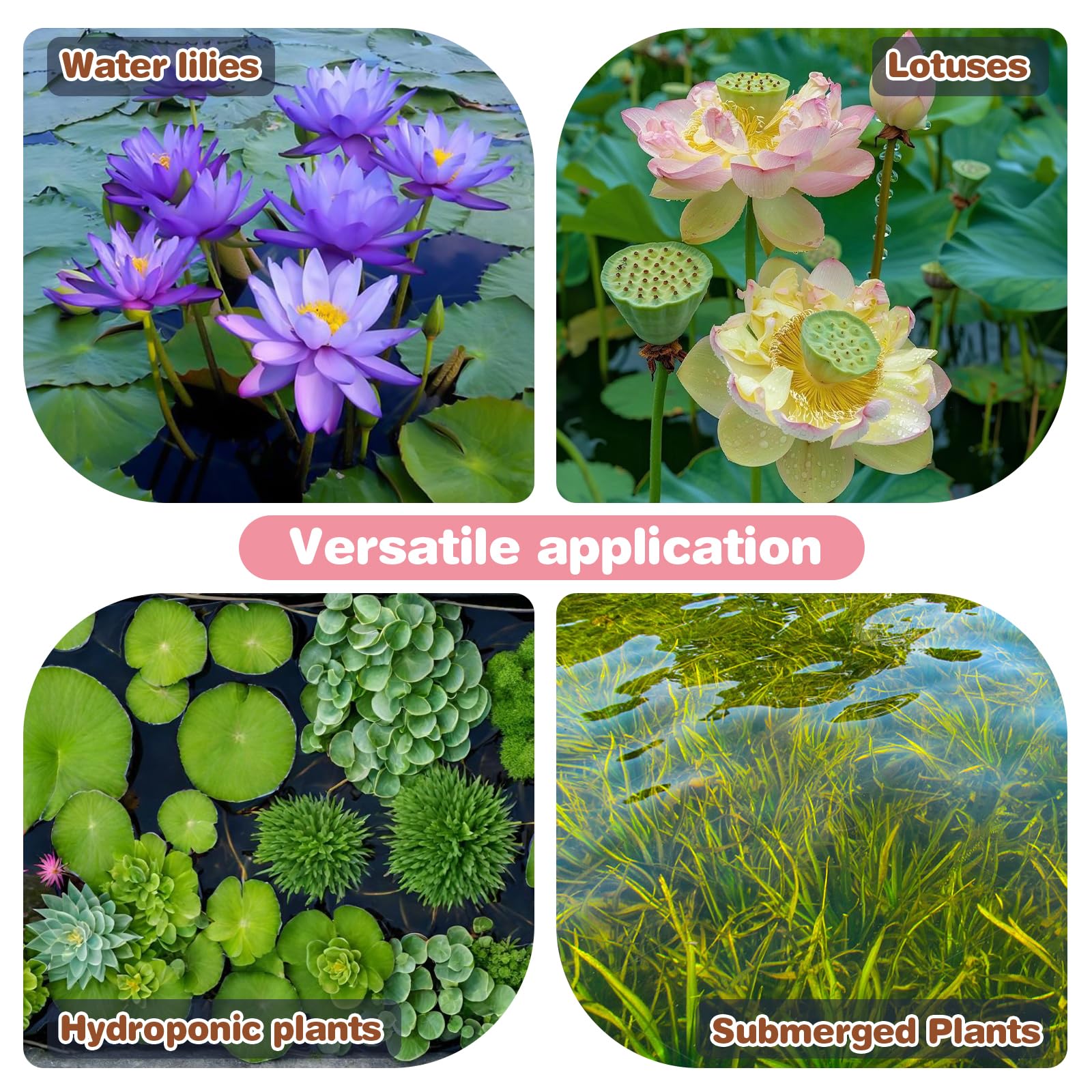 Omitgoter Aquatic Soil easy-setup for quick planting