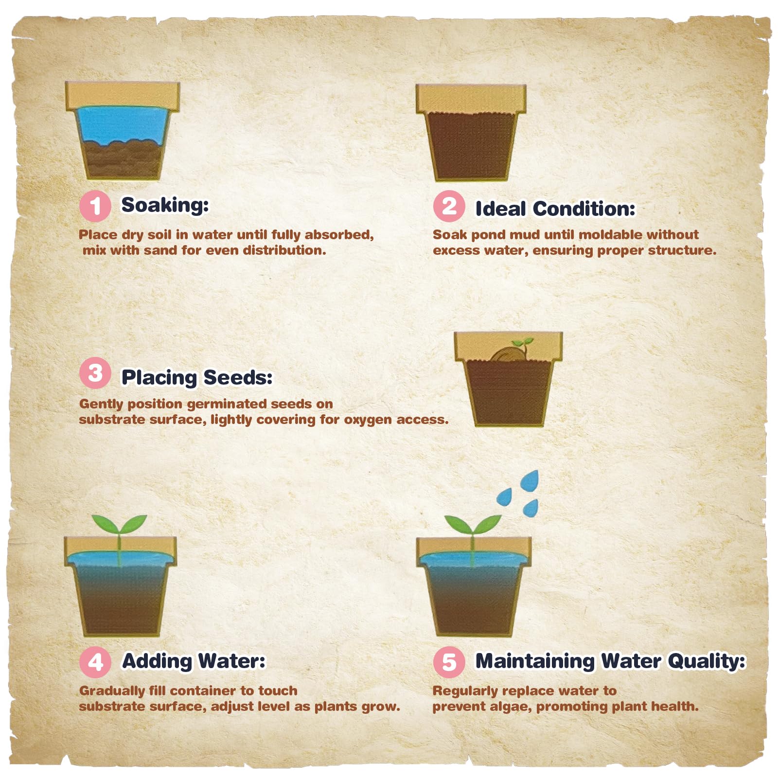 Omitgoter Aquatic Soil long-term nutrients support steady growth