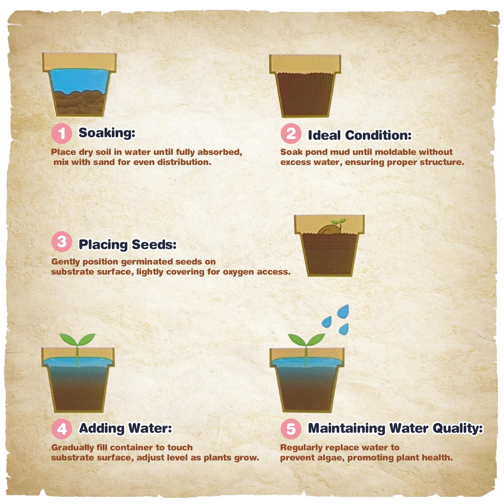 Omitgoter Aquatic Soil long-term nutrients support steady growth