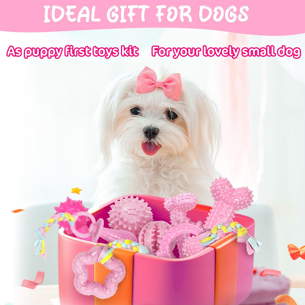 Omivine puppy teething toy pink-gift-pack highlights a varied teething toy set for pups.