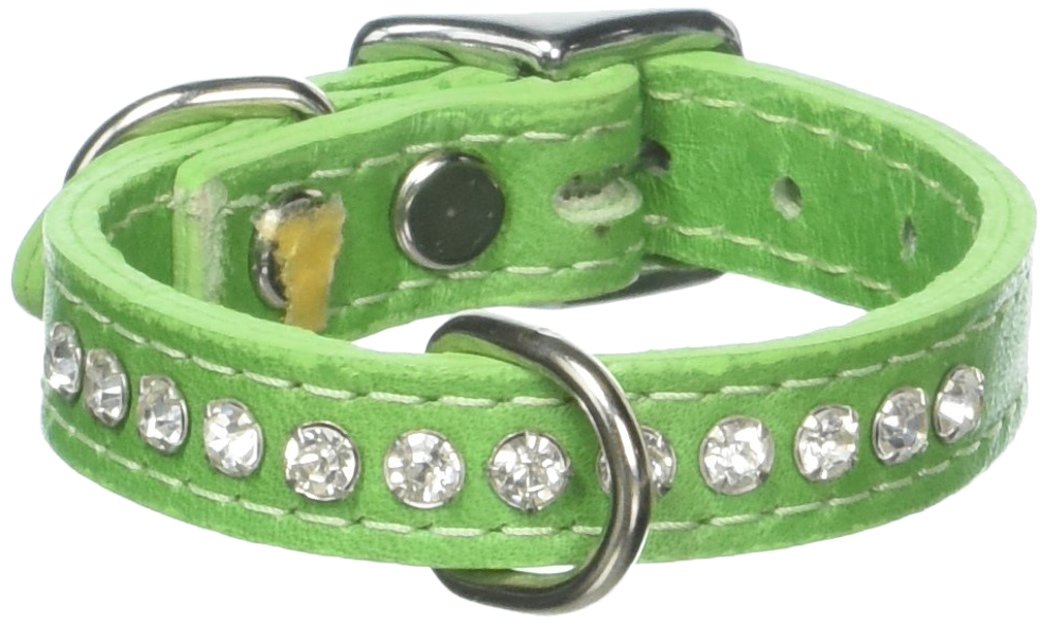 OmniPet Kiwi collar front view shows 2-ply leather and rhinestones for daily glamour