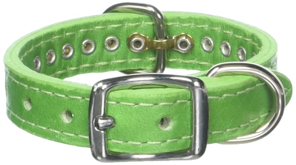 OmniPet Kiwi collar side view features secure buckle and D-ring for reliable walks