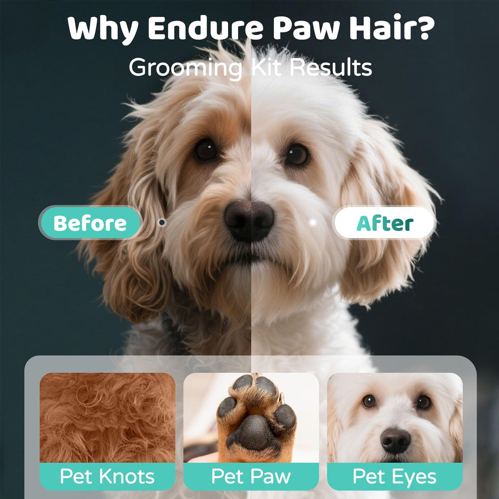 OMYGYM ear plucking powder for dogs softens hair for gentle removal during grooming.