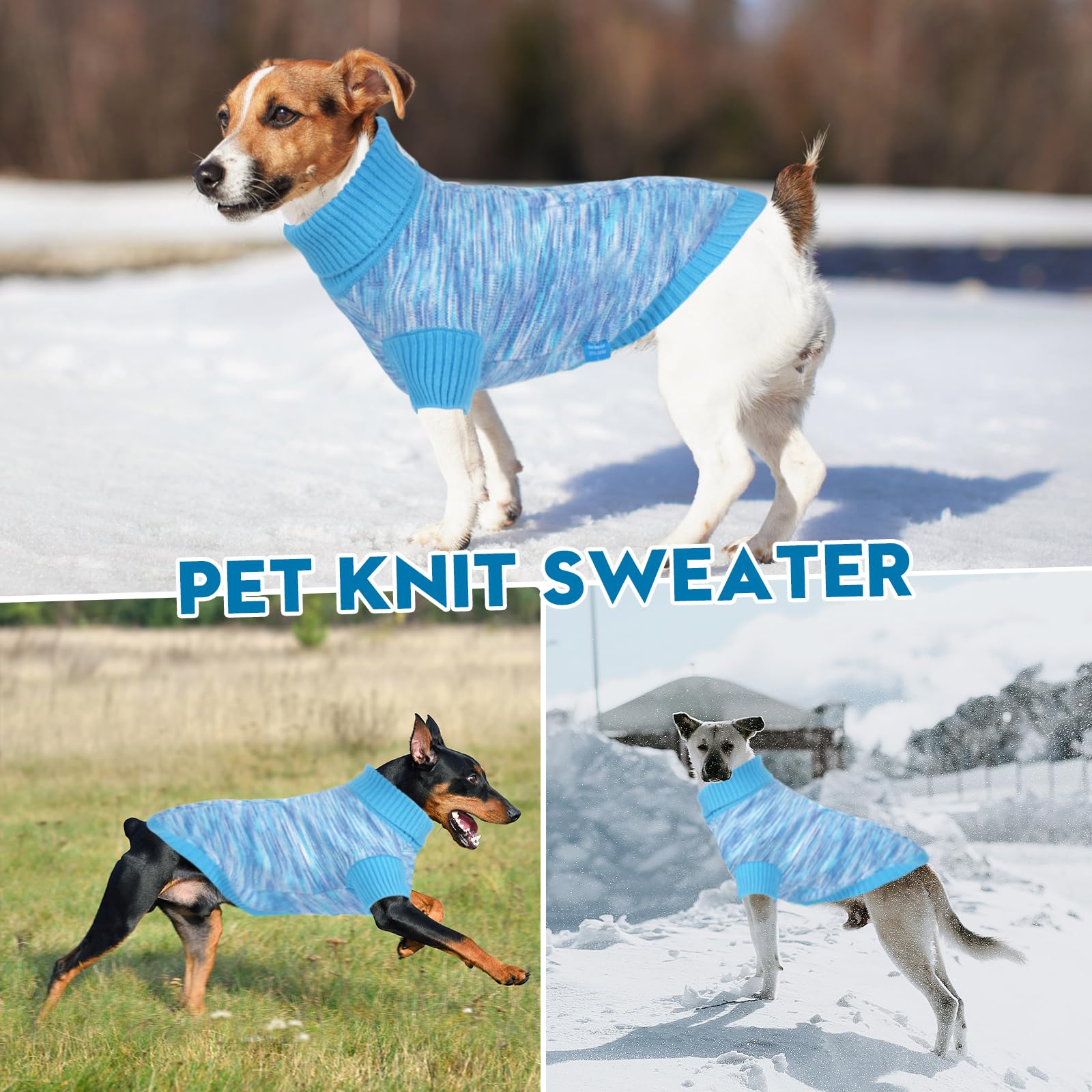 On The Roll blue dog sweater ideal for Spring, Autumn, and Winter wear.