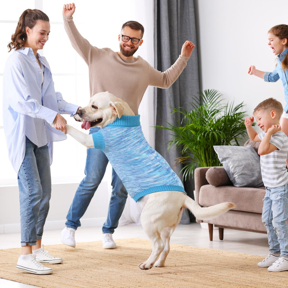 On The Roll blue pullover dog sweater easy-on design saves time during dressing.