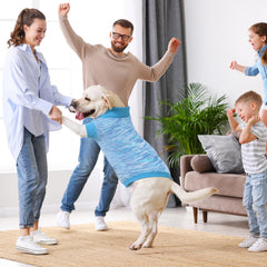 On The Roll blue pullover dog sweater easy-on design saves time during dressing.