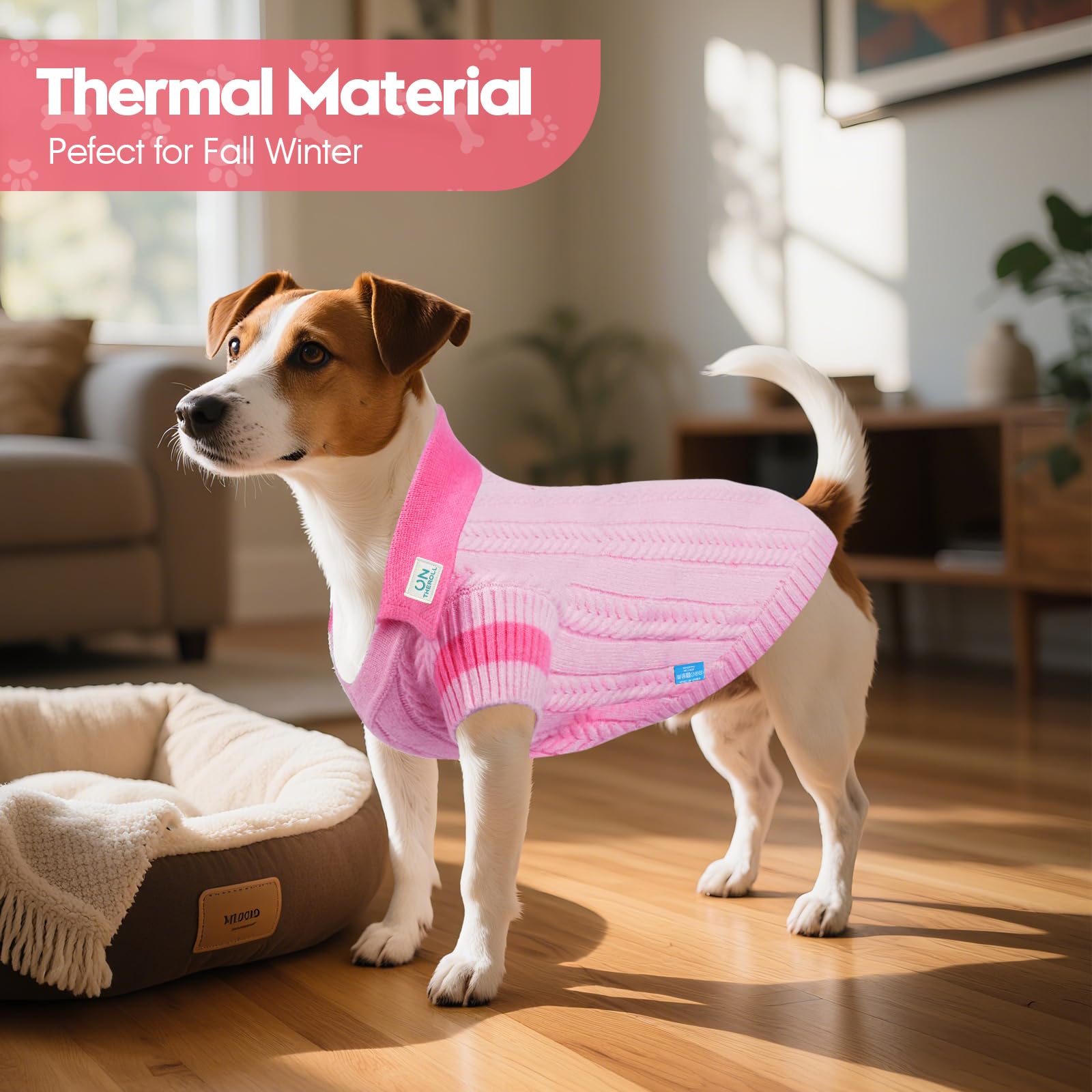 On The Roll dogs warmth sweater ideal for Valentine’s Day outfits.