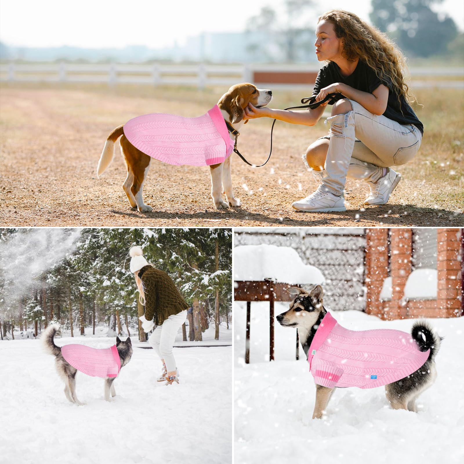 On The Roll pet clothing fashion studio shot showcasing versatile styling.