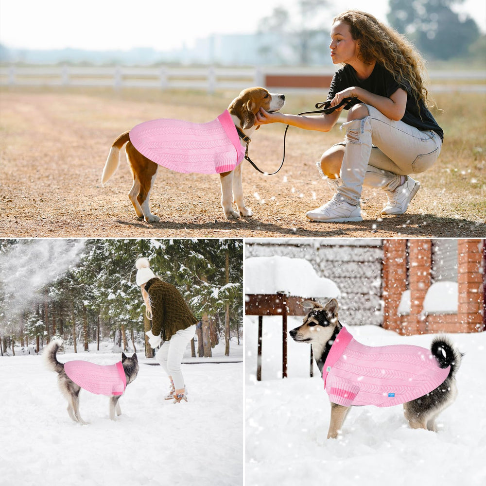 On The Roll pet clothing fashion studio shot showcasing versatile styling.