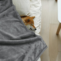 Onarway dog blanket 40x47 grey pack versatile warmth for beds and crates.