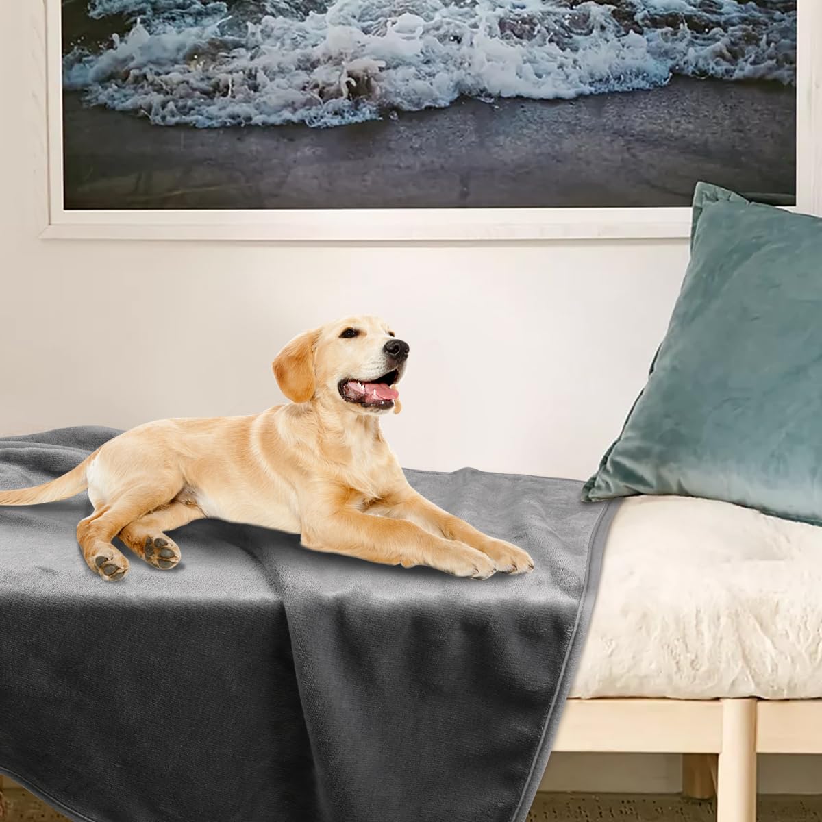 Onarway bed-snuggle scene shows cozy warmth for pets.