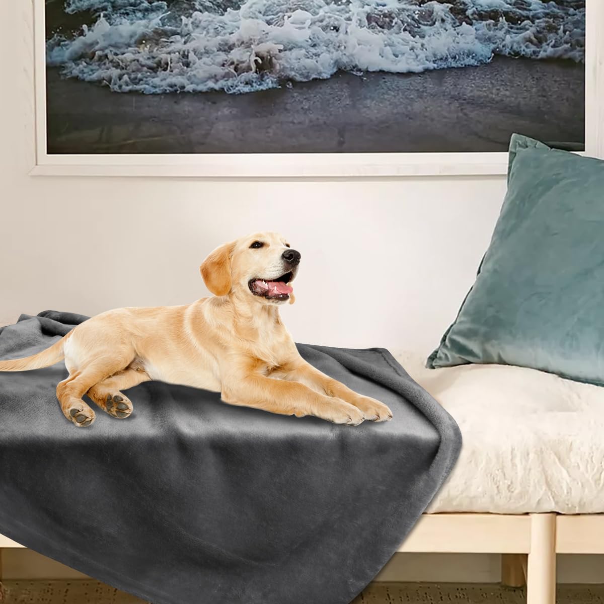 Onarway dog blanket machine washable for quick cleanups.
