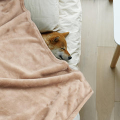 Onarway dog blanket soft-snuggle 40x28 for plush comfort on bed or couch