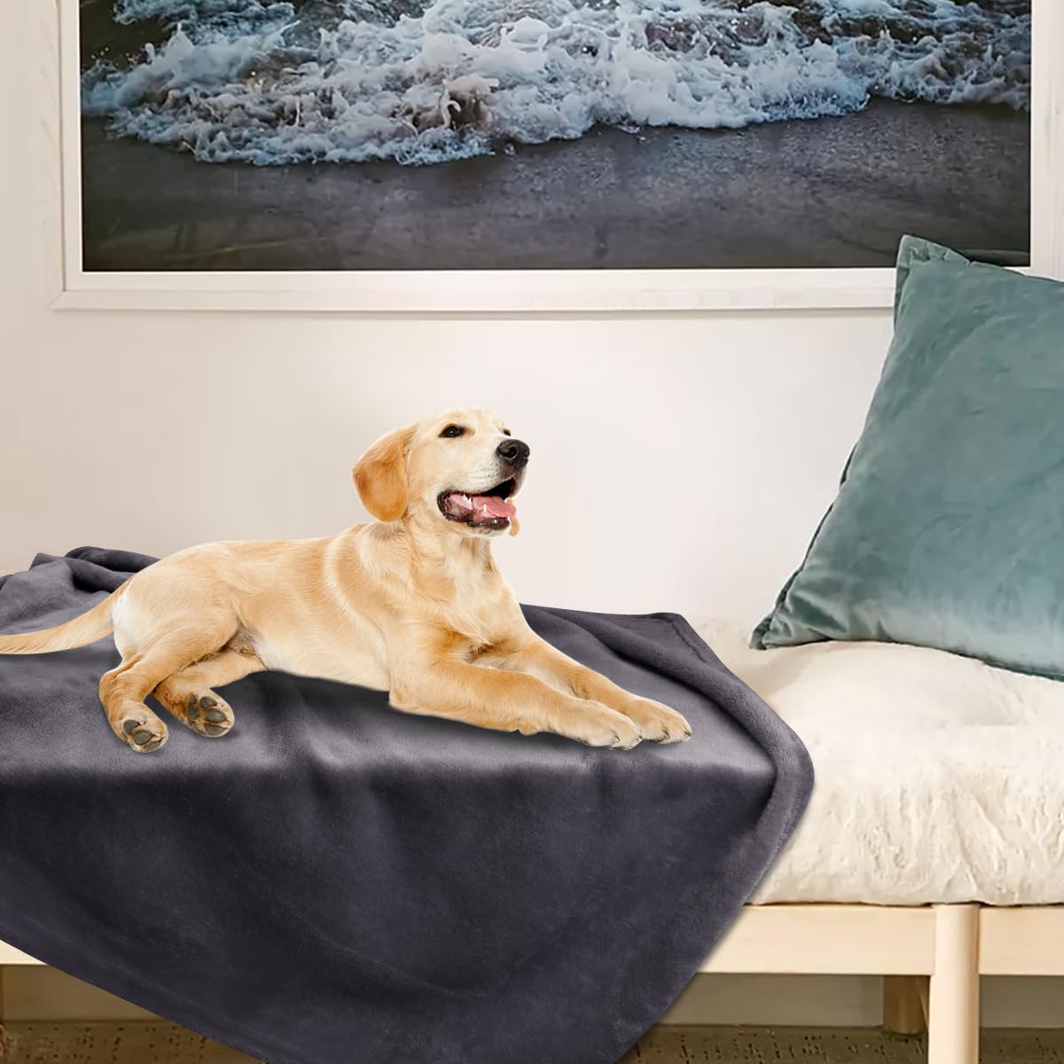 Onarway travel-friendly dog blanket folds compactly for car journeys.