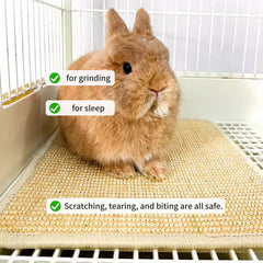 Oncpcare Rabbit Scratch Mat dual-purpose surface for scratching and chewing