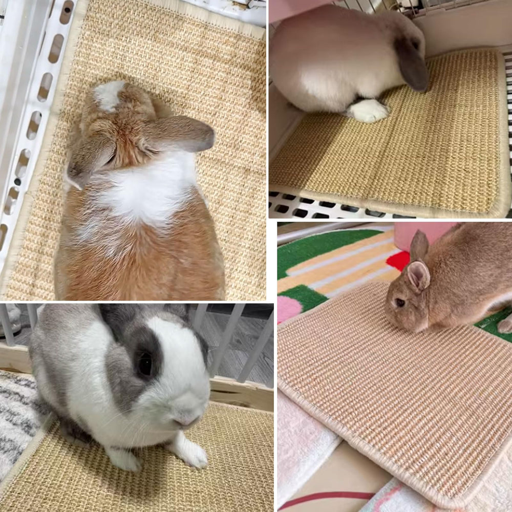 Oncpcare rabbit scratch mat easy to clean with brushing