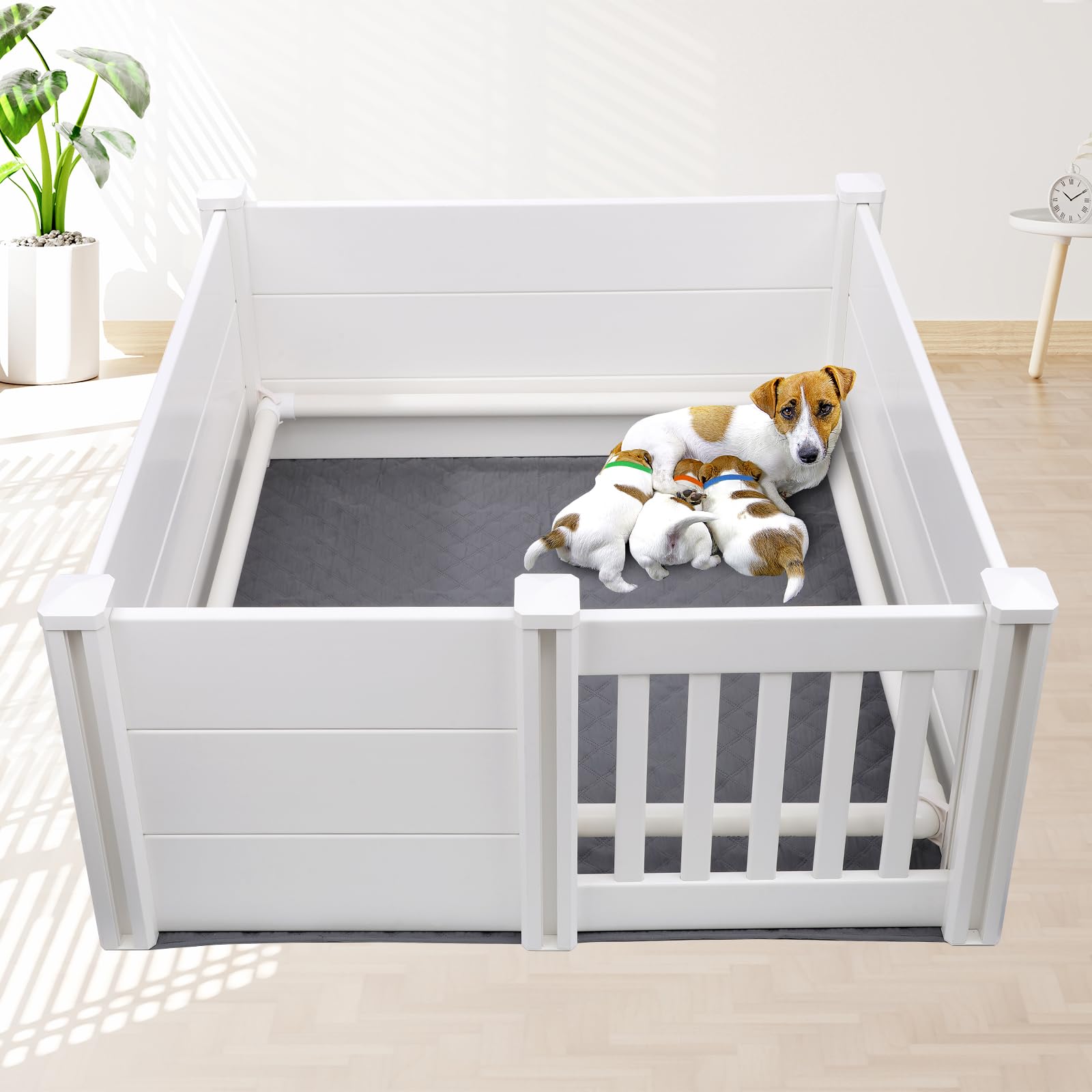The Ondware whelping box with pig rails demonstrates a safe birthing space.