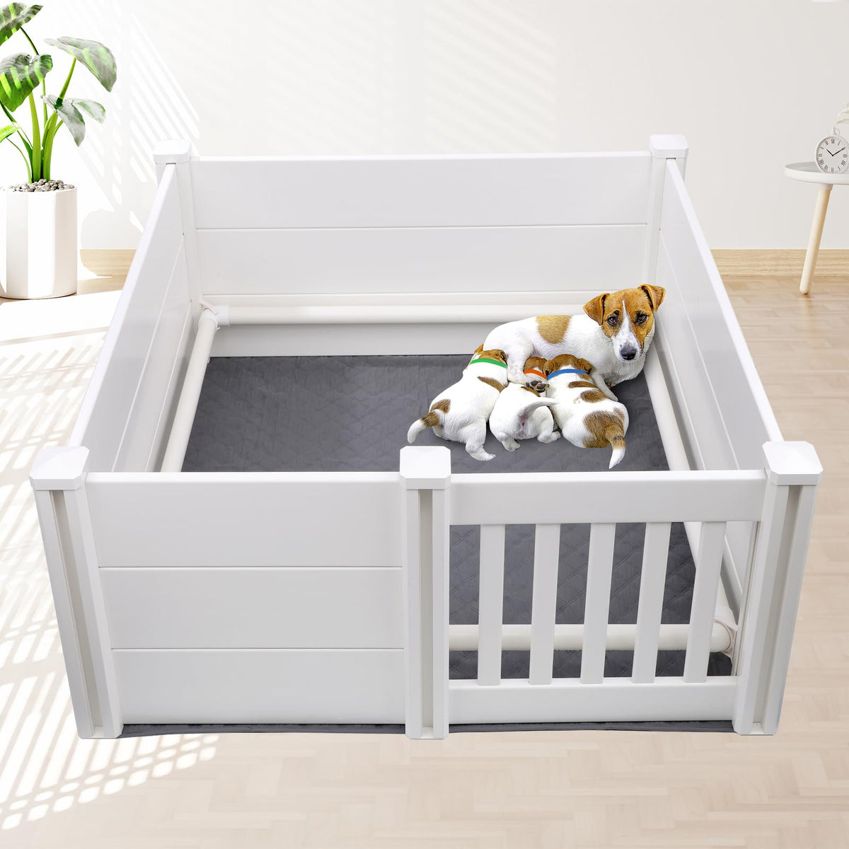 The Ondware whelping box with pig rails demonstrates a safe birthing space.