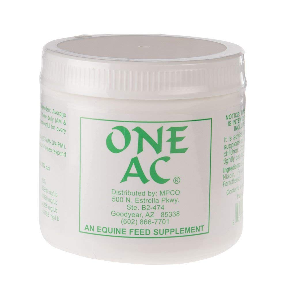 ONE AC Powder 200GM bottle supports sweat response in horses during hot-weather training.