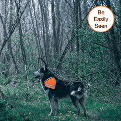 1 one enjoy Reflective Bandana back strap detail shows easy on/off with hook-and-loop.