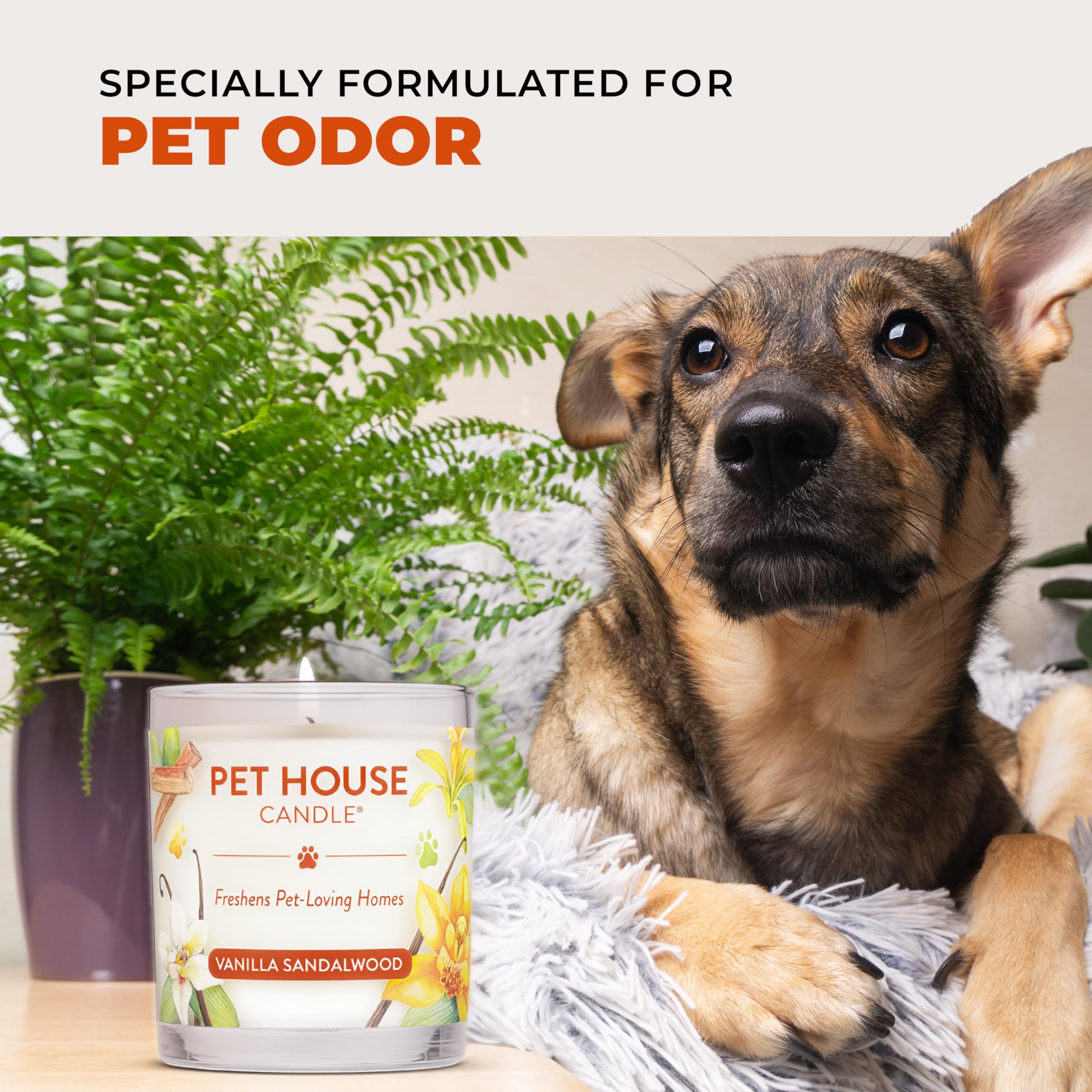 One Fur All Pet House Fall Candles dye-free formula preserves pure fragrance in open spaces