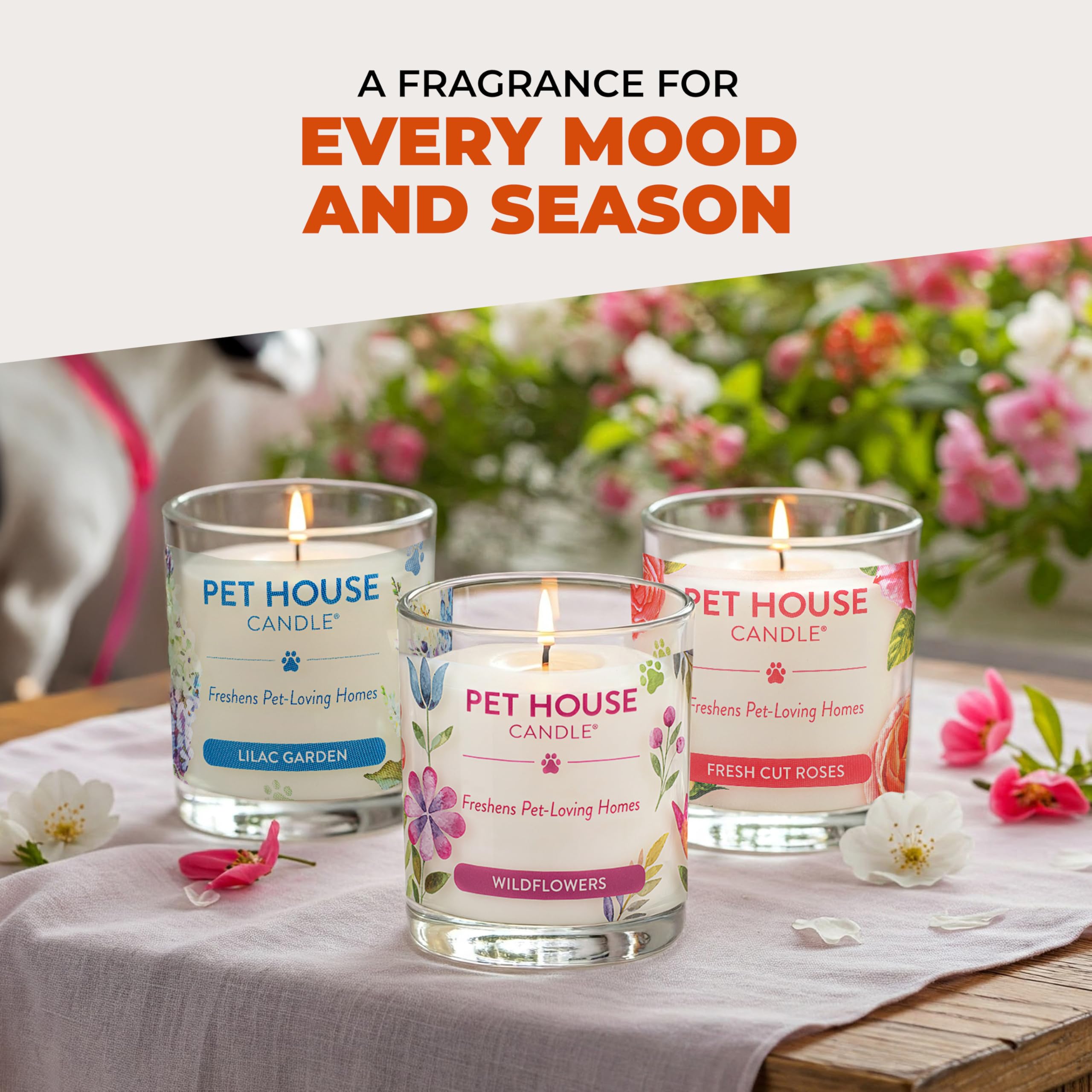 One Fur All Pet House Fall Candles apple cider aroma helps freshen kitchens and living rooms